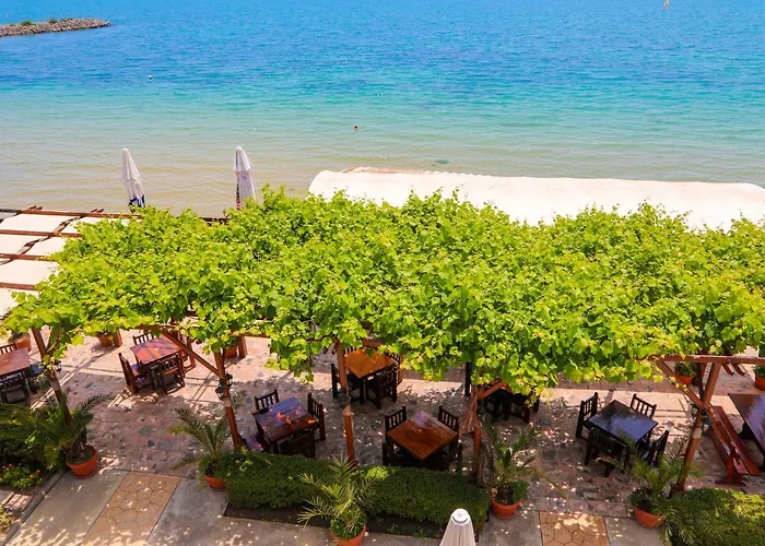 Petrov Family 3* נסבר