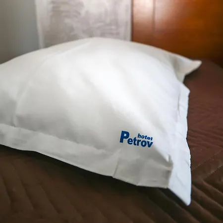 酒店 Petrov Family 内塞伯尔