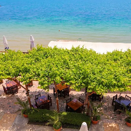 Petrov Family 3* נסבר